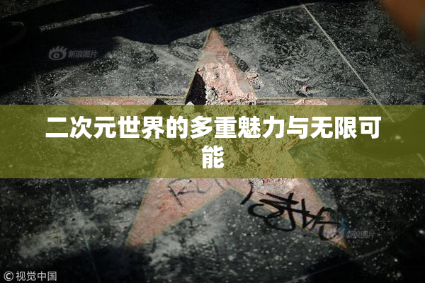 二次元世界的多重魅力与无限可能