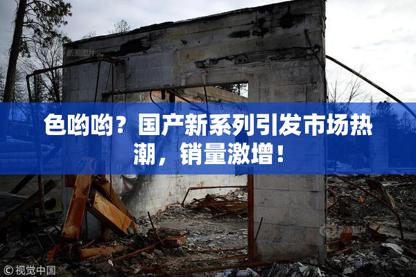 色哟哟？国产新系列引发市场热潮，销量激增！