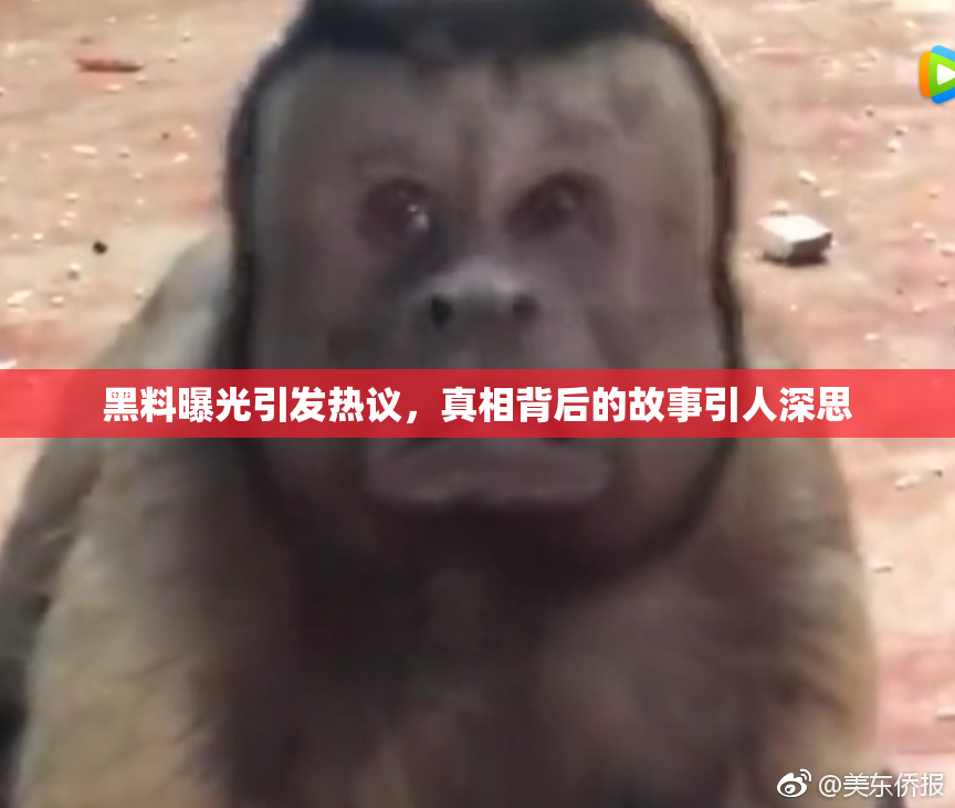 黑料曝光引发热议，真相背后的故事引人深思