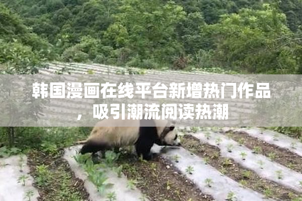 韩国漫画在线平台新增热门作品，吸引潮流阅读热潮