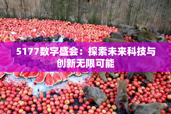 5177数字盛会：探索未来科技与创新无限可能