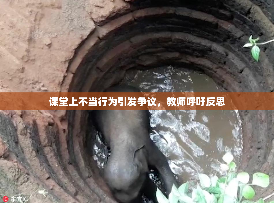 课堂上不当行为引发争议，教师呼吁反思