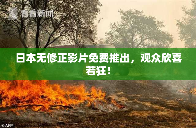 日本无修正影片免费推出，观众欣喜若狂！