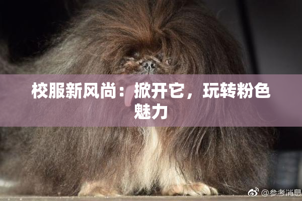 校服新风尚：掀开它，玩转粉色魅力
