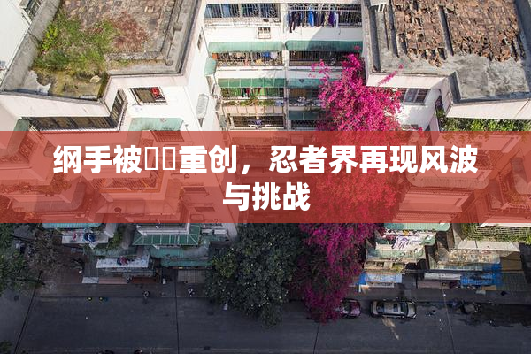 纲手被❌‌重创，忍者界再现风波与挑战