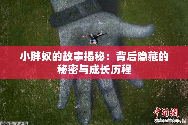 小胖奴的故事揭秘：背后隐藏的秘密与成长历程