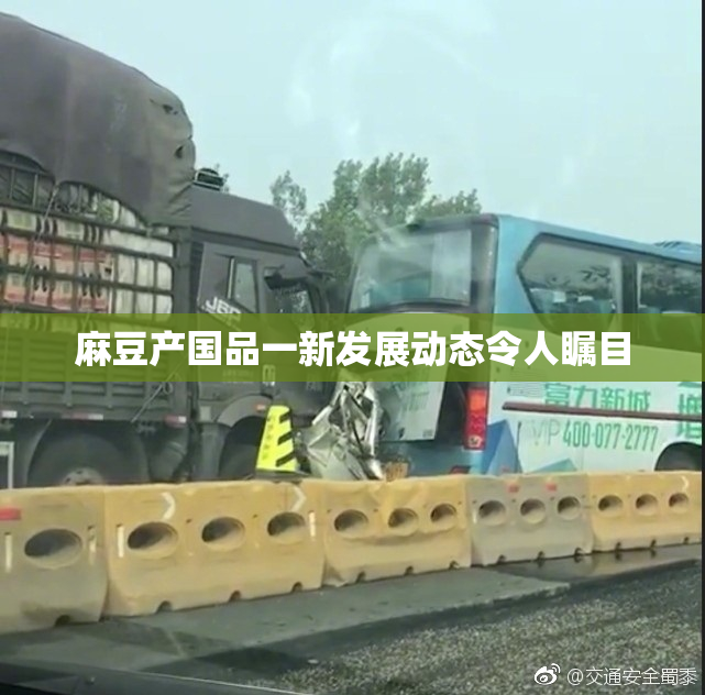 麻豆产国品一新发展动态令人瞩目