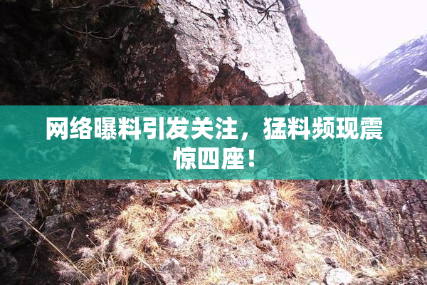 网络曝料引发关注，猛料频现震惊四座！