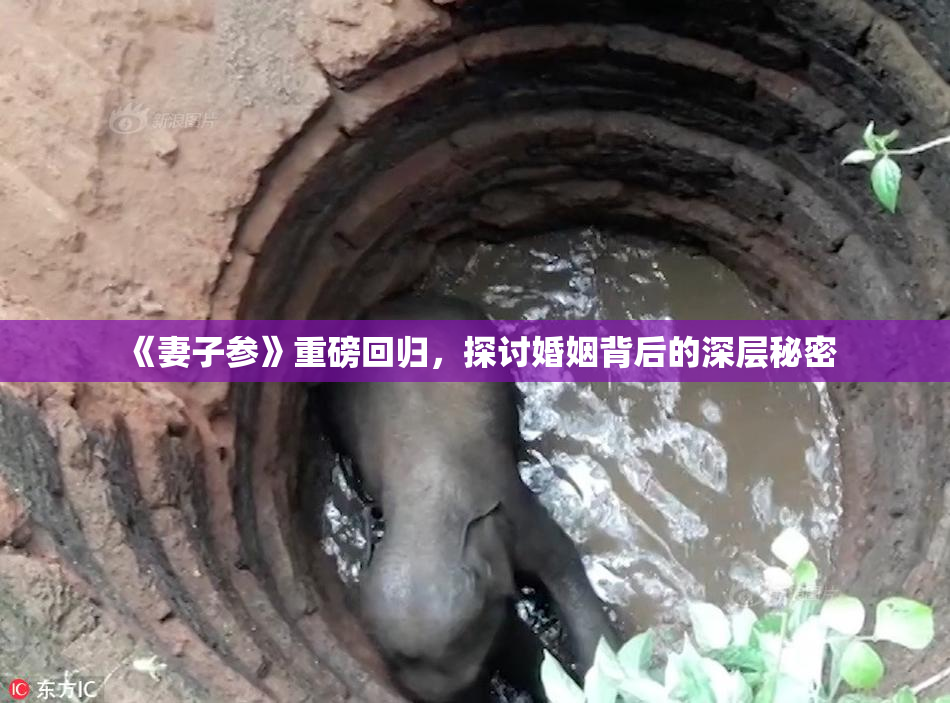 《妻子参》重磅回归，探讨婚姻背后的深层秘密