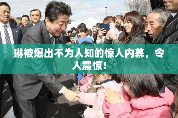琳被爆出不为人知的惊人内幕，令人震惊！