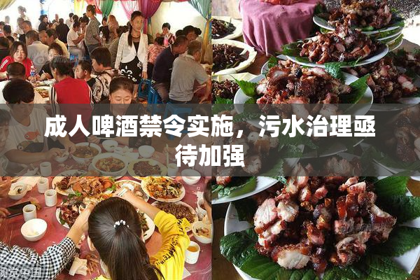 成人啤酒禁令实施，污水治理亟待加强