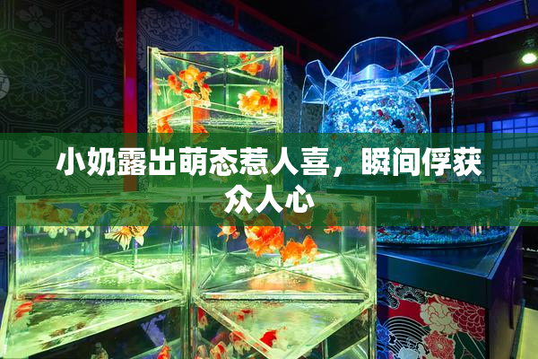 小奶露出萌态惹人喜，瞬间俘获众人心