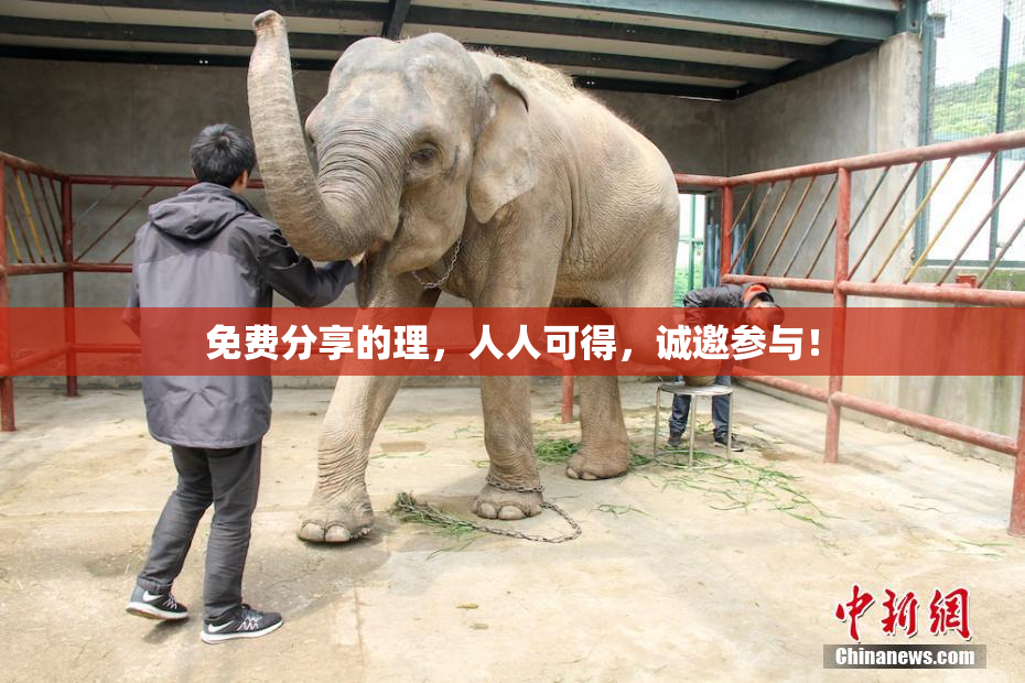 免费分享的理，人人可得，诚邀参与！