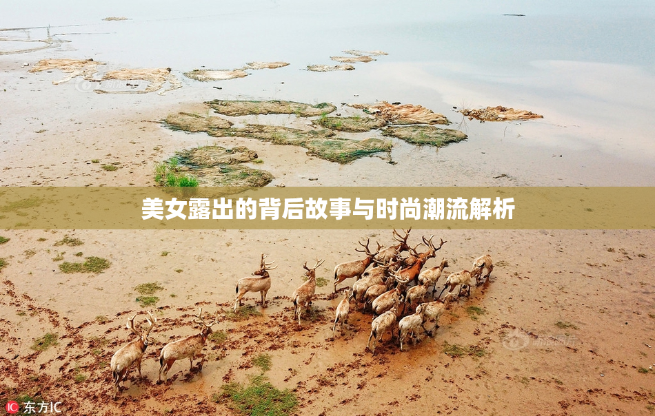 美女露出的背后故事与时尚潮流解析