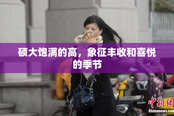 硕大饱满的高，象征丰收和喜悦的季节