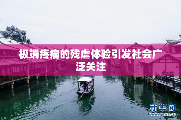 极端疼痛的残虐体验引发社会广泛关注