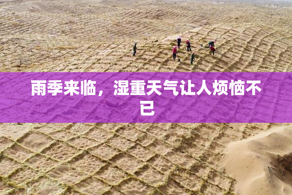 雨季来临，湿重天气让人烦恼不已