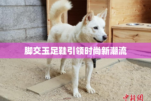 脚交玉足鞋引领时尚新潮流