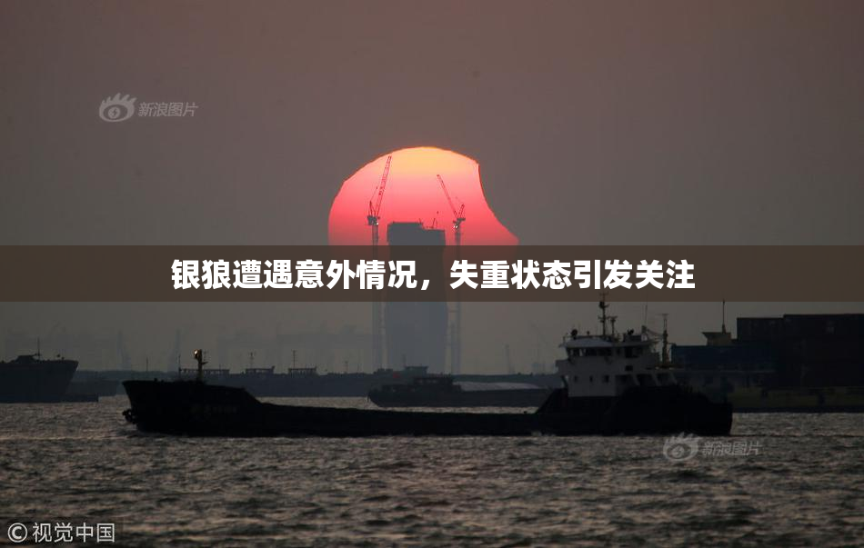 银狼遭遇意外情况，失重状态引发关注