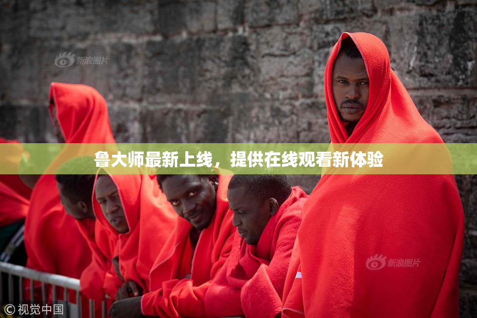 鲁大师最新上线，提供在线观看新体验