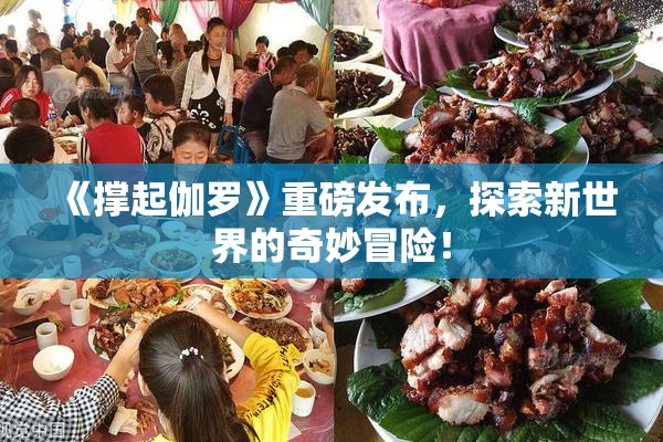 《撑起伽罗》重磅发布，探索新世界的奇妙冒险！