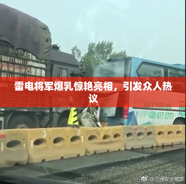 雷电将军爆乳惊艳亮相，引发众人热议