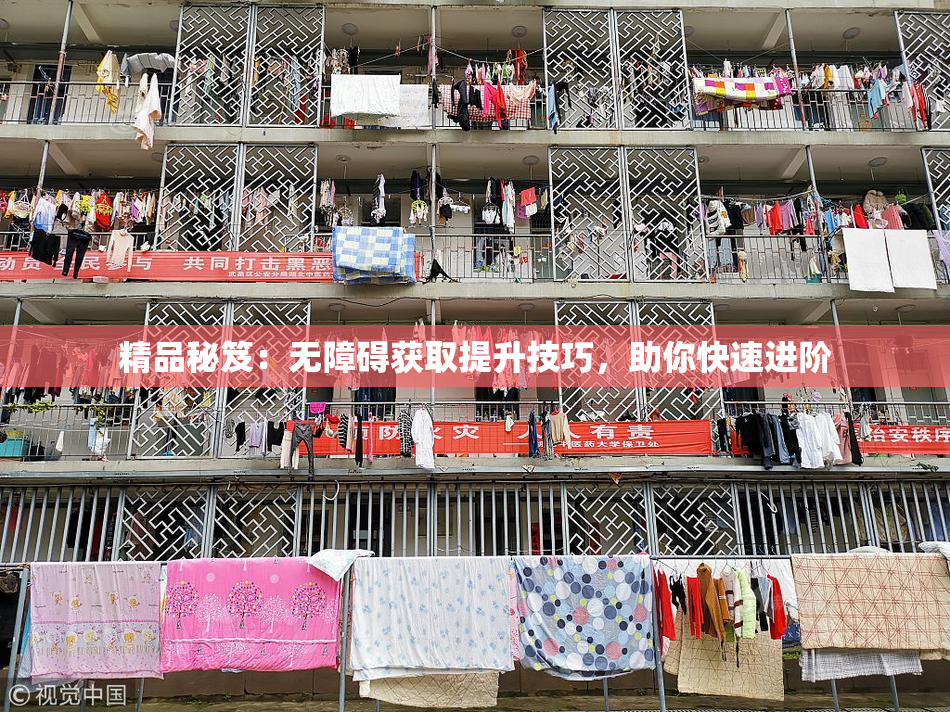 精品秘笈：无障碍获取提升技巧，助你快速进阶