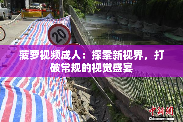 菠萝视频成人：探索新视界，打破常规的视觉盛宴