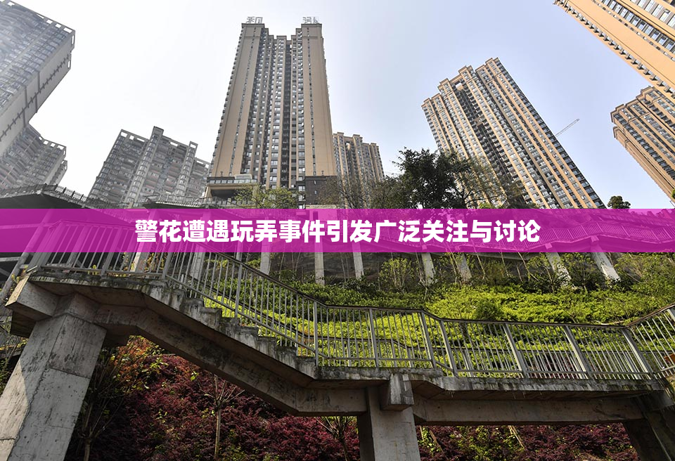 警花遭遇玩弄事件引发广泛关注与讨论