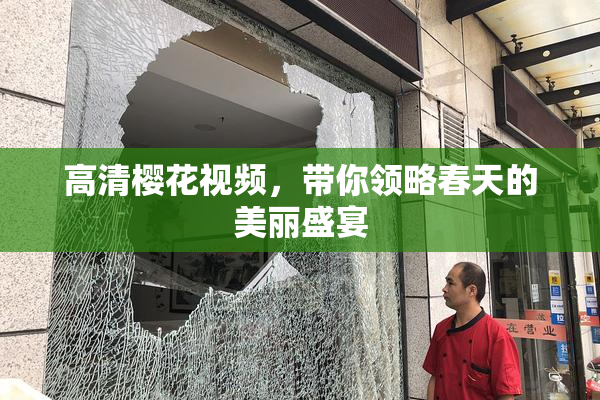 高清樱花视频，带你领略春天的美丽盛宴