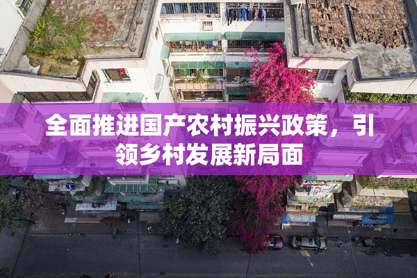全面推进国产农村振兴政策，引领乡村发展新局面