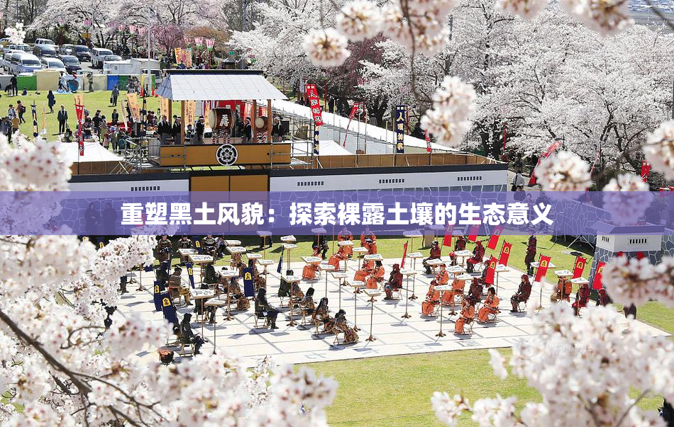 重塑黑土风貌：探索裸露土壤的生态意义