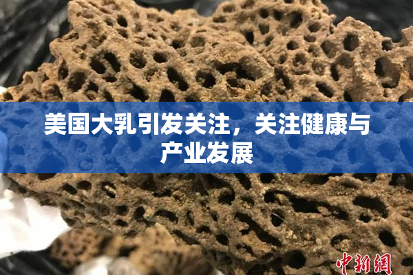 美国大乳引发关注，关注健康与产业发展