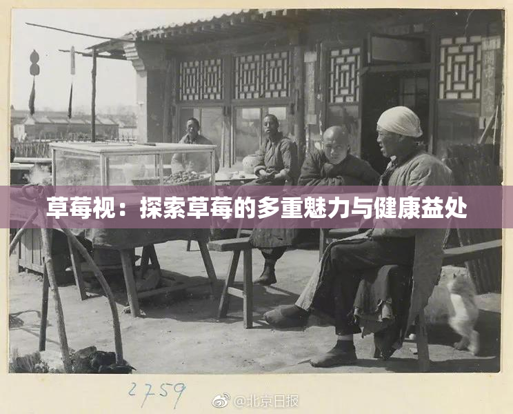 草莓视：探索草莓的多重魅力与健康益处