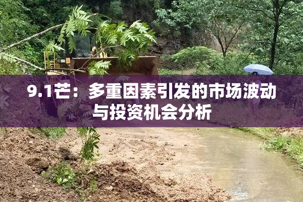 9.1芒：多重因素引发的市场波动与投资机会分析