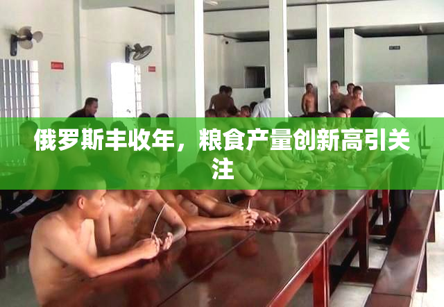俄罗斯丰收年，粮食产量创新高引关注