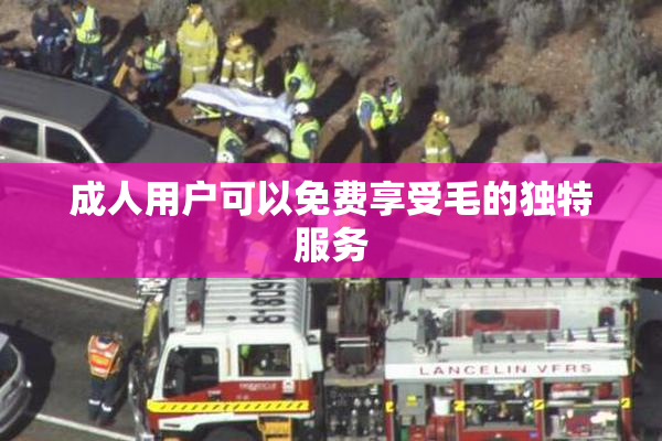 成人用户可以免费享受毛的独特服务
