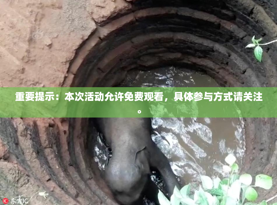 重要提示：本次活动允许免费观看，具体参与方式请关注。