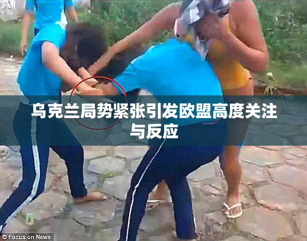 乌克兰局势紧张引发欧盟高度关注与反应