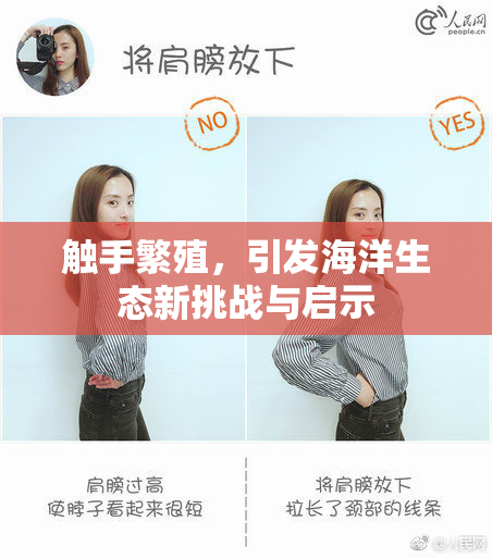 触手繁殖，引发海洋生态新挑战与启示