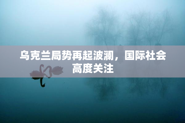 乌克兰局势再起波澜，国际社会高度关注