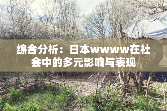 综合分析：日本wwww在社会中的多元影响与表现
