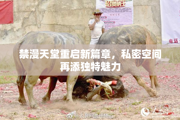 禁漫天堂重启新篇章，私密空间再添独特魅力