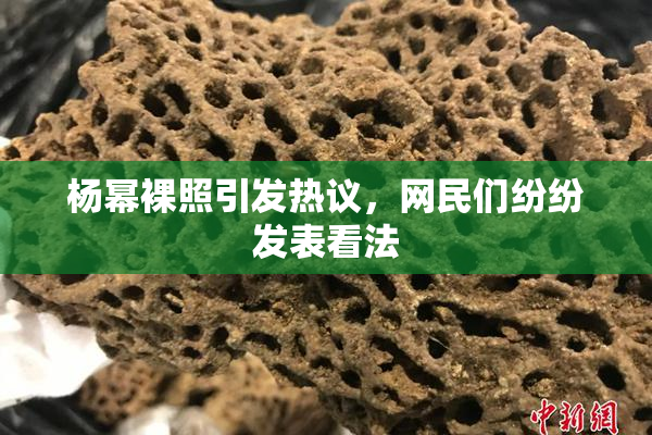 杨幂裸照引发热议，网民们纷纷发表看法