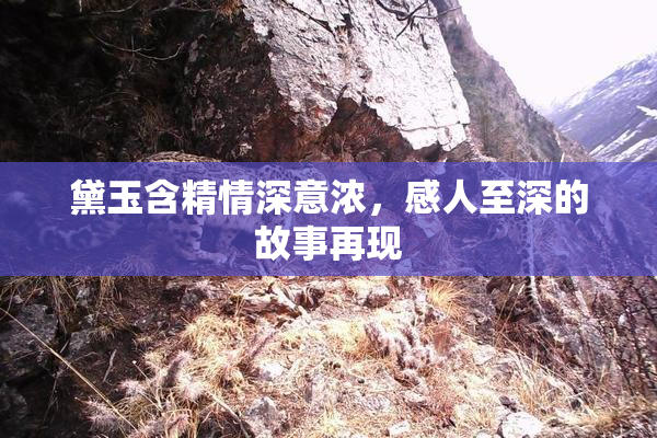 黛玉含精情深意浓，感人至深的故事再现