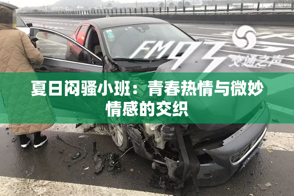 夏日闷骚小班：青春热情与微妙情感的交织