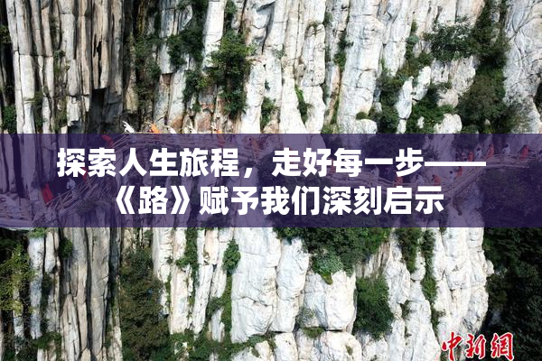 探索人生旅程，走好每一步——《路》赋予我们深刻启示