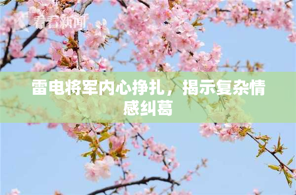 雷电将军内心挣扎，揭示复杂情感纠葛