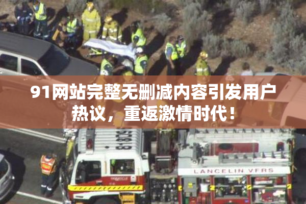 91网站完整无删减内容引发用户热议，重返激情时代！