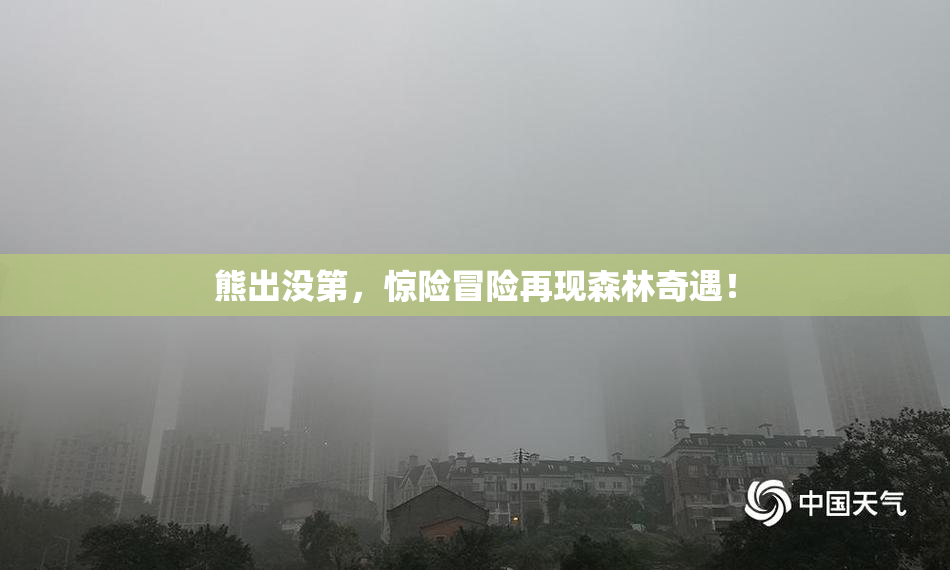 熊出没第，惊险冒险再现森林奇遇！